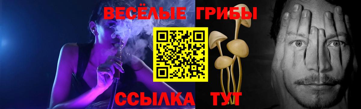 Псилоцибиновые грибы GOLDEN TEACHER  Вход с VPN  Псилоцибиновые грибы мухоморы  Тобольск 