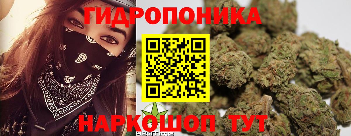 Шишки марихуана индика Тобольск